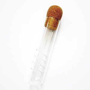 NEW IN BOX Test Tube Glass TEA INFUSER With Cork Top